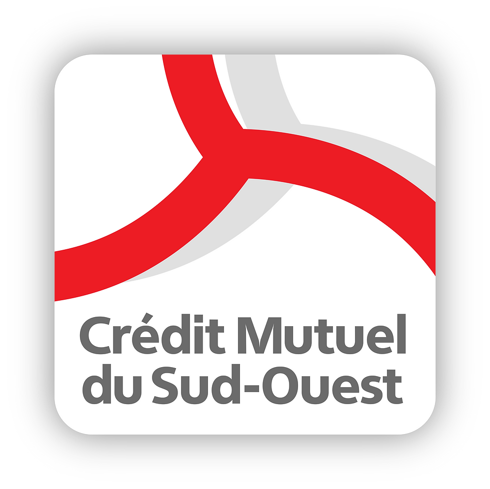 BLOC MARQUE CMSO Couleur RVB (2).png