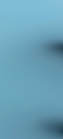 AdobeStock_1853954809.jpeg