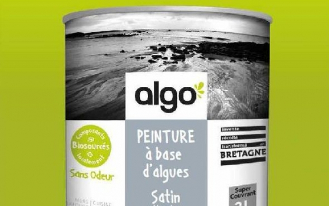 ALGO PAINT® lève 800 000€ pour accélérer son développement